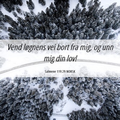 Picture 06 - Salmene 119:29 NORSK - Vend løgnens vei bort fra mig, og unn mig din - Bible Verse Picture