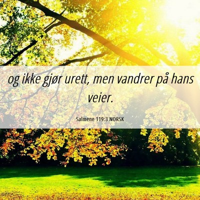 Picture 06 - Salmene 119:3 NORSK - og ikke gjør urett, men vandrer på hans - Bible Verse Picture