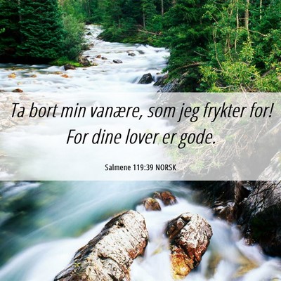 Picture 06 - Salmene 119:39 NORSK - Ta bort min vanære, som jeg frykter for! For - Bible Verse Picture
