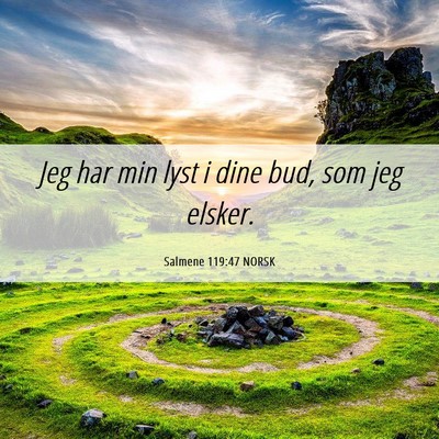 Picture 06 - Salmene 119:47 NORSK - Jeg har min lyst i dine bud, som jeg - Bible Verse Picture