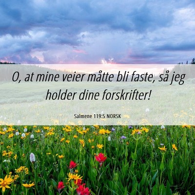 Picture 06 - Salmene 119:5 NORSK - O, at mine veier måtte bli faste, så jeg holder - Bible Verse Picture