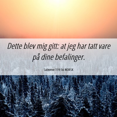 Picture 06 - Salmene 119:56 NORSK - Dette blev mig gitt: at jeg har tatt vare på - Bible Verse Picture