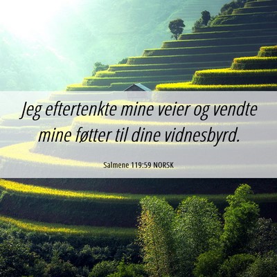 Picture 06 - Salmene 119:59 NORSK - Jeg eftertenkte mine veier og vendte mine føtter - Bible Verse Picture