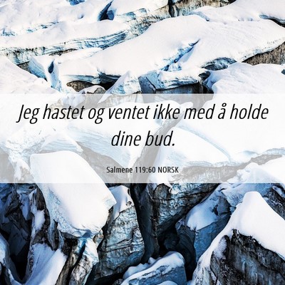 Picture 06 - Salmene 119:60 NORSK - Jeg hastet og ventet ikke med å holde dine - Bible Verse Picture