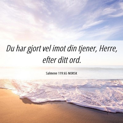 Picture 06 - Salmene 119:65 NORSK - Du har gjort vel imot din tjener, Herre, efter - Bible Verse Picture