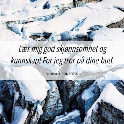 Picture 06 - Salmene 119:66 NORSK - Lær mig god skjønnsomhet og kunnskap! For jeg - Bible Verse Picture