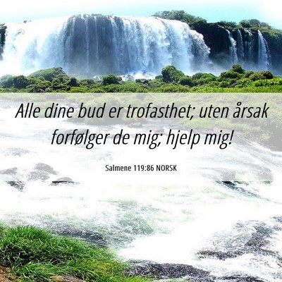 Picture 06 - Salmene 119:86 NORSK - Alle dine bud er trofasthet; uten årsak - Bible Verse Picture