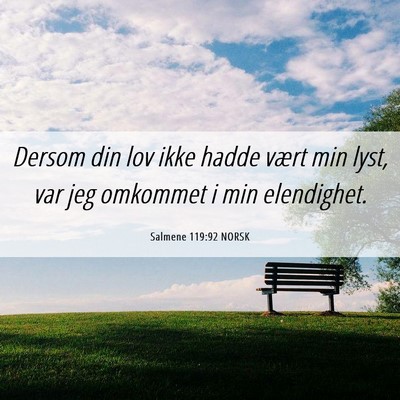 Picture 06 - Salmene 119:92 NORSK - Dersom din lov ikke hadde vært min lyst, var jeg - Bible Verse Picture