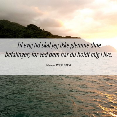 Picture 06 - Salmene 119:93 NORSK - Til evig tid skal jeg ikke glemme dine - Bible Verse Picture
