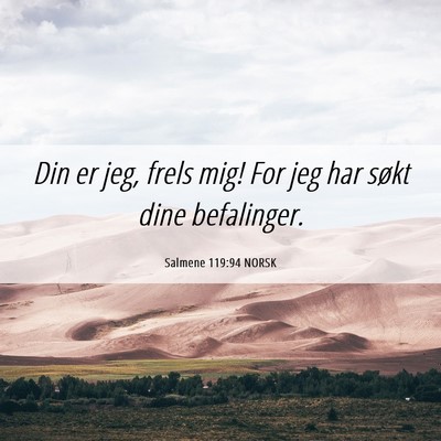 Picture 06 - Salmene 119:94 NORSK - Din er jeg, frels mig! For jeg har søkt dine - Bible Verse Picture