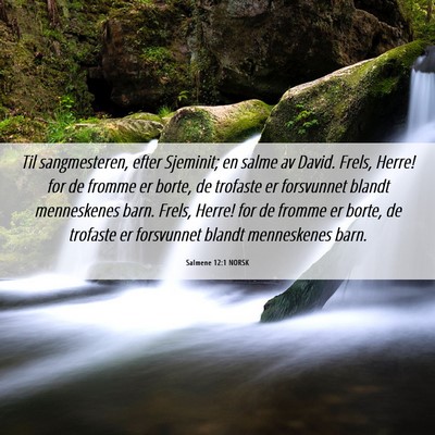 Picture 06 - Salmene 12:1 NORSK - Til sangmesteren, efter Sjeminit; en salme av - Bible Verse Picture