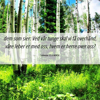 Picture 06 - Salmene 12:4 NORSK - dem som sier: Ved vår tunge skal vi få - Bible Verse Picture
