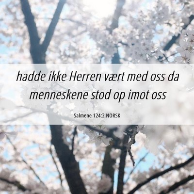 Picture 06 - Salmene 124:2 NORSK - hadde ikke Herren vært med oss da menneskene - Bible Verse Picture