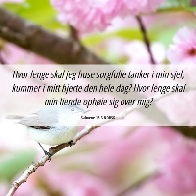 Picture 06 - Salmene 13:3 NORSK - Hvor lenge skal jeg huse sorgfulle tanker i min - Bible Verse Picture