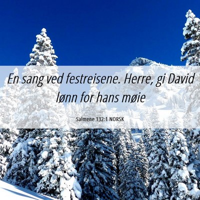 Picture 06 - Salmene 132:1 NORSK - En sang ved festreisene. Herre, gi David lønn - Bible Verse Picture