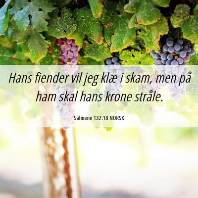 Picture 06 - Salmene 132:18 NORSK - Hans fiender vil jeg klæ i skam, men på ham - Bible Verse Picture