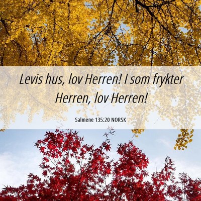 Picture 06 - Salmene 135:20 NORSK - Levis hus, lov Herren! I som frykter Herren, lov - Bible Verse Picture