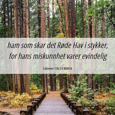 Picture 06 - Salmene 136:13 NORSK - ham som skar det Røde Hav i stykker, for hans - Bible Verse Picture