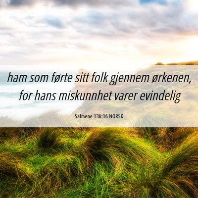 Picture 06 - Salmene 136:16 NORSK - ham som førte sitt folk gjennem ørkenen, for - Bible Verse Picture