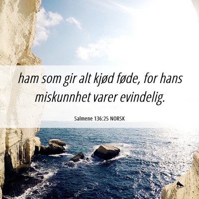 Picture 06 - Salmene 136:25 NORSK - ham som gir alt kjød føde, for hans miskunnhet - Bible Verse Picture