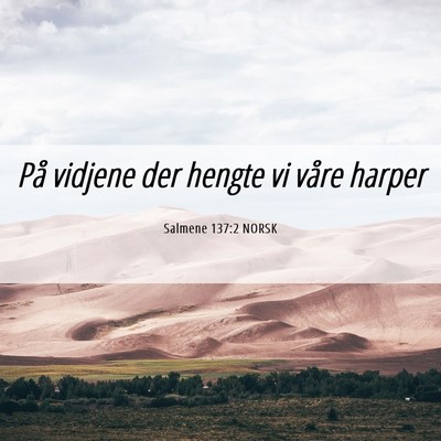 Picture 06 - Salmene 137:2 NORSK - På vidjene der hengte vi våre - Bible Verse Picture