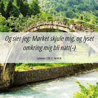 Picture 06 - Salmene 139:11 NORSK - Og sier jeg: Mørket skjule mig, og lyset omkring - Bible Verse Picture