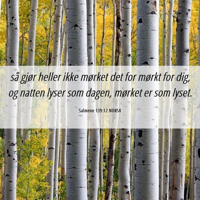 Picture 06 - Salmene 139:12 NORSK - så gjør heller ikke mørket det for mørkt for - Bible Verse Picture