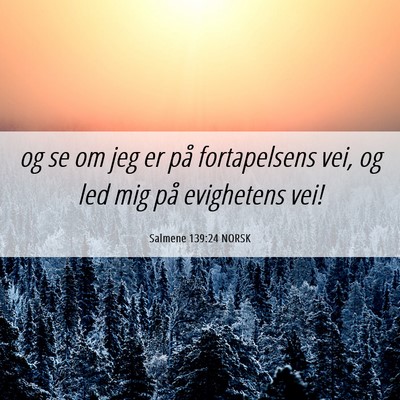Picture 06 - Salmene 139:24 NORSK - og se om jeg er på fortapelsens vei, og led mig - Bible Verse Picture