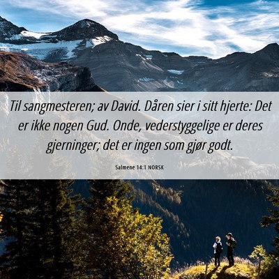 Picture 06 - Salmene 14:1 NORSK - Til sangmesteren; av David. Dåren sier i sitt - Bible Verse Picture
