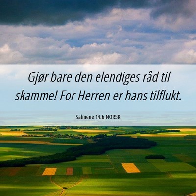Picture 06 - Salmene 14:6 NORSK - Gjør bare den elendiges råd til skamme! For - Bible Verse Picture