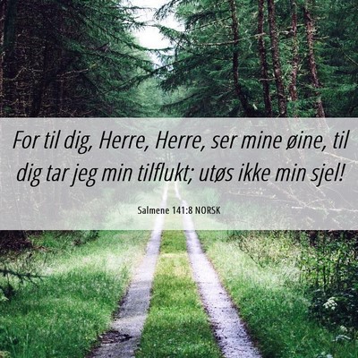Picture 06 - Salmene 141:8 NORSK - For til dig, Herre, Herre, ser mine øine, til - Bible Verse Picture
