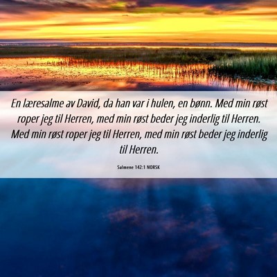 Picture 06 - Salmene 142:1 NORSK - En læresalme av David, da han var i hulen, en - Bible Verse Picture