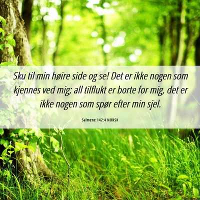 Picture 06 - Salmene 142:4 NORSK - Sku til min høire side og se! Det er ikke nogen - Bible Verse Picture