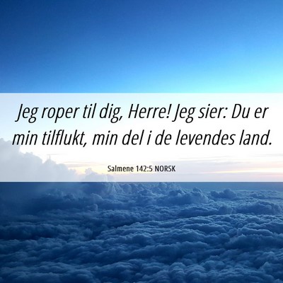 Picture 06 - Salmene 142:5 NORSK - Jeg roper til dig, Herre! Jeg sier: Du er min - Bible Verse Picture