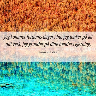 Picture 06 - Salmene 143:5 NORSK - Jeg kommer fordums dager i hu, jeg tenker på alt - Bible Verse Picture