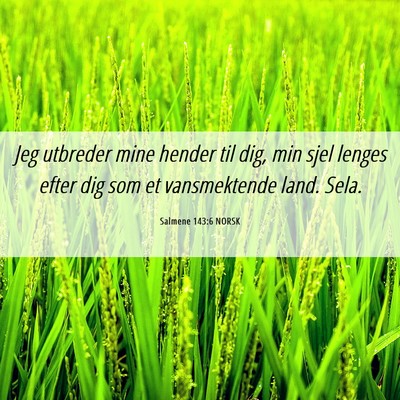 Picture 06 - Salmene 143:6 NORSK - Jeg utbreder mine hender til dig, min sjel lenges - Bible Verse Picture