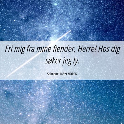 Picture 06 - Salmene 143:9 NORSK - Fri mig fra mine fiender, Herre! Hos dig søker - Bible Verse Picture