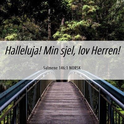 Picture 06 - Salmene 146:1 NORSK - Halleluja! Min sjel, lov - Bible Verse Picture