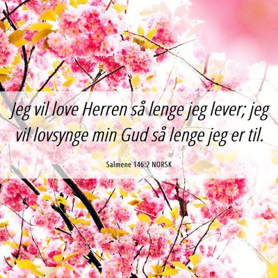 Picture 06 - Salmene 146:2 NORSK - Jeg vil love Herren så lenge jeg lever; jeg vil - Bible Verse Picture