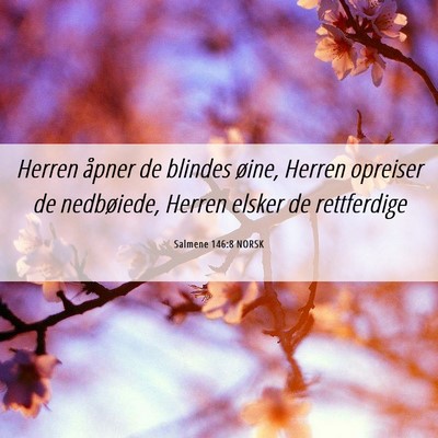 Picture 06 - Salmene 146:8 NORSK - Herren åpner de blindes øine, Herren opreiser - Bible Verse Picture