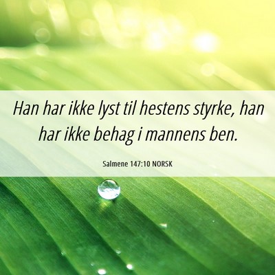 Picture 06 - Salmene 147:10 NORSK - Han har ikke lyst til hestens styrke, han har - Bible Verse Picture