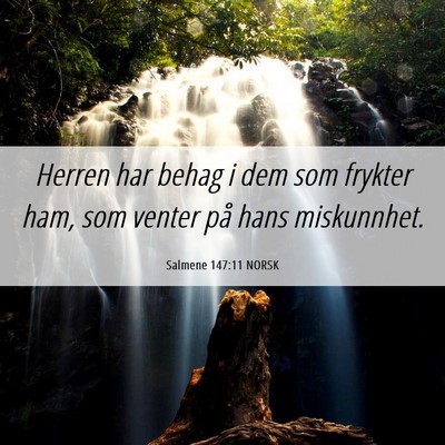 Picture 06 - Salmene 147:11 NORSK - Herren har behag i dem som frykter ham, som - Bible Verse Picture