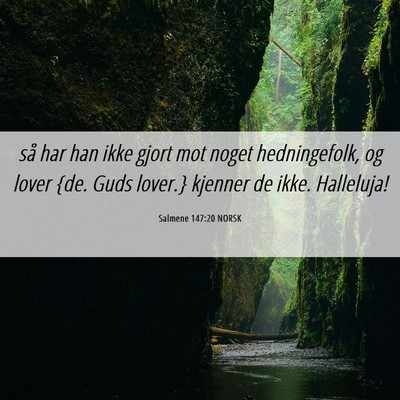 Picture 06 - Salmene 147:20 NORSK - så har han ikke gjort mot noget hedningefolk, og - Bible Verse Picture