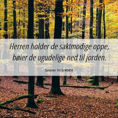 Picture 06 - Salmene 147:6 NORSK - Herren holder de saktmodige oppe, bøier de - Bible Verse Picture