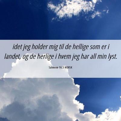 Picture 06 - Salmene 16:3 NORSK - idet jeg holder mig til de hellige som er i - Bible Verse Picture