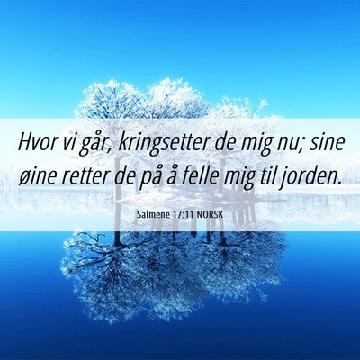 Picture 06 - Salmene 17:11 NORSK - Hvor vi går, kringsetter de mig nu; sine øine - Bible Verse Picture