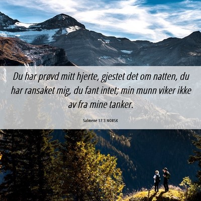 Picture 06 - Salmene 17:3 NORSK - Du har prøvd mitt hjerte, gjestet det om natten, - Bible Verse Picture