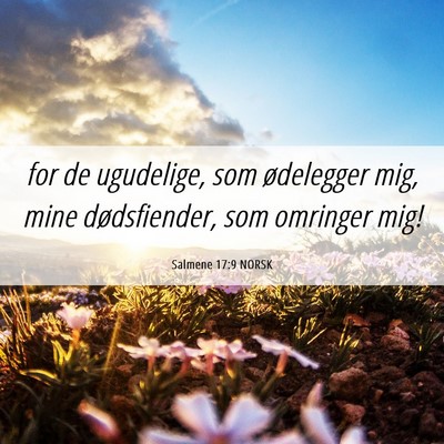 Picture 06 - Salmene 17:9 NORSK - for de ugudelige, som ødelegger mig, mine - Bible Verse Picture