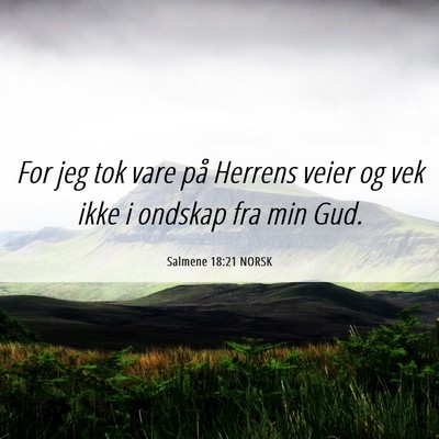 Picture 06 - Salmene 18:21 NORSK - For jeg tok vare på Herrens veier og vek ikke i - Bible Verse Picture