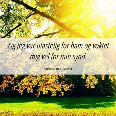 Picture 06 - Salmene 18:23 NORSK - Og jeg var ulastelig for ham og voktet mig vel - Bible Verse Picture